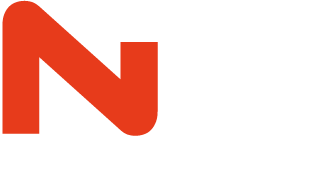 NP-SOLUTIONS Logo